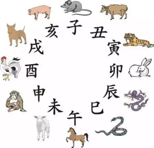 十二地支:          子(zǐ),丑(chǒu),寅(yín),卯(mǎo),辰